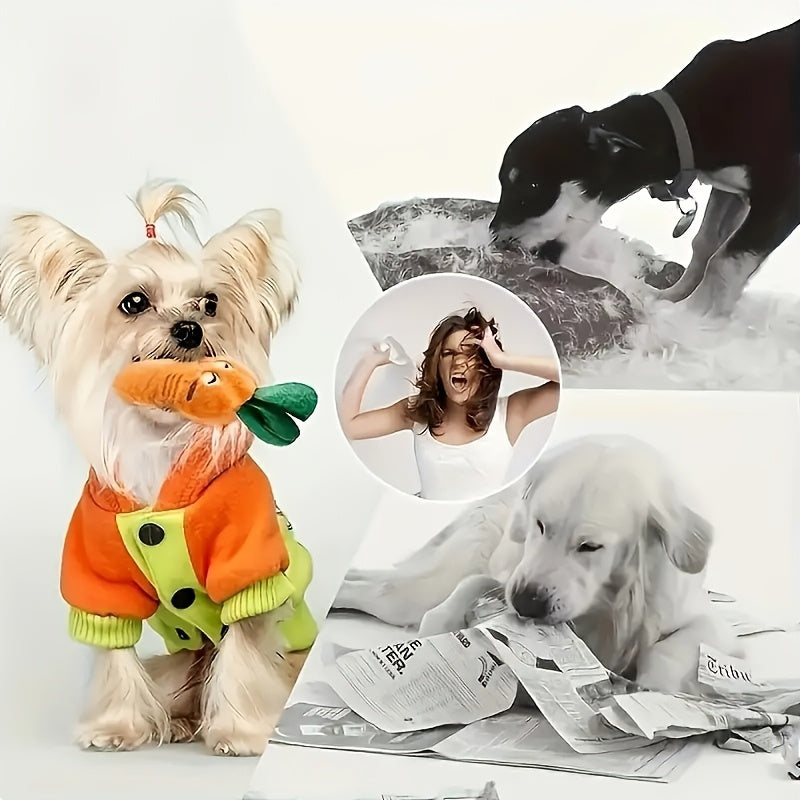 5 Random Style Dog Squeak Toy Set