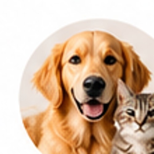 Pet Supplies