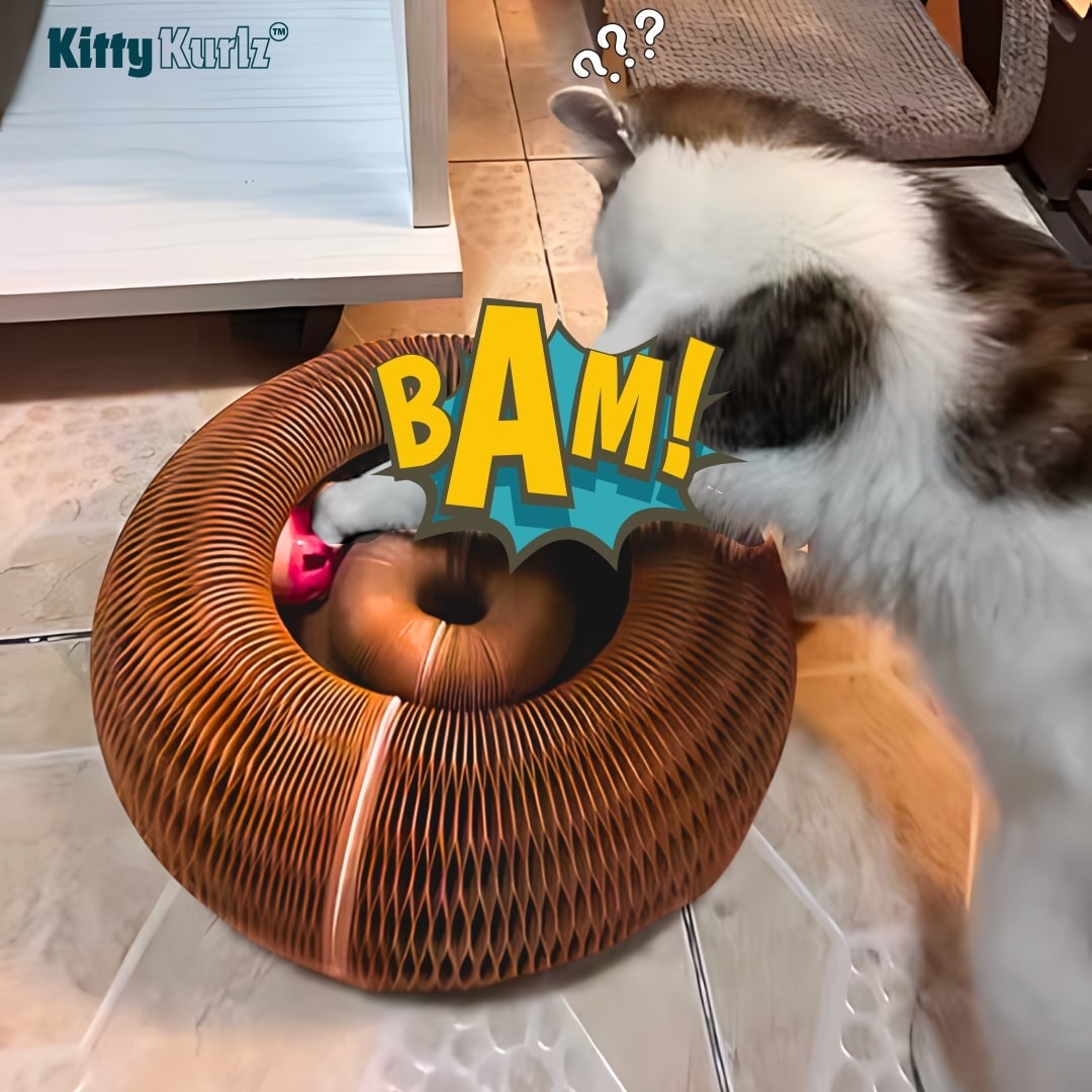 https://cdn.shopify.com/s/files/1/0592/0194/5677/files/KittyWheelzMarlenesPetShop6.jpg?v=1750919198